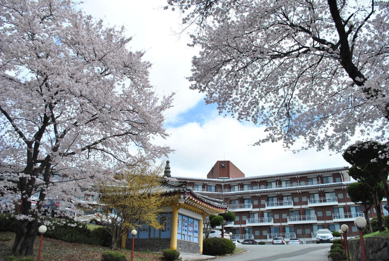Corea Condo Gyeongju Bagian luar foto