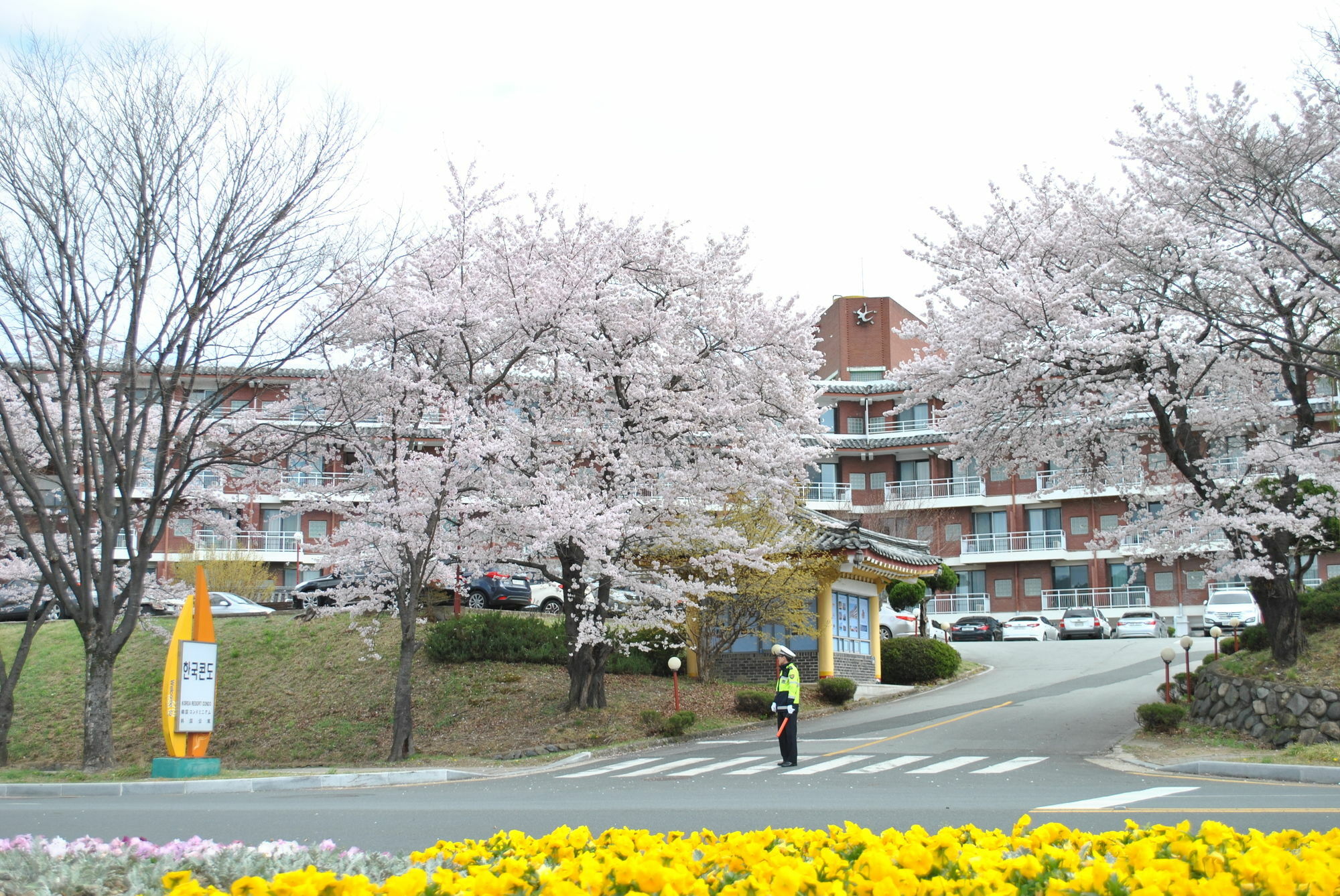 Corea Condo Gyeongju Bagian luar foto