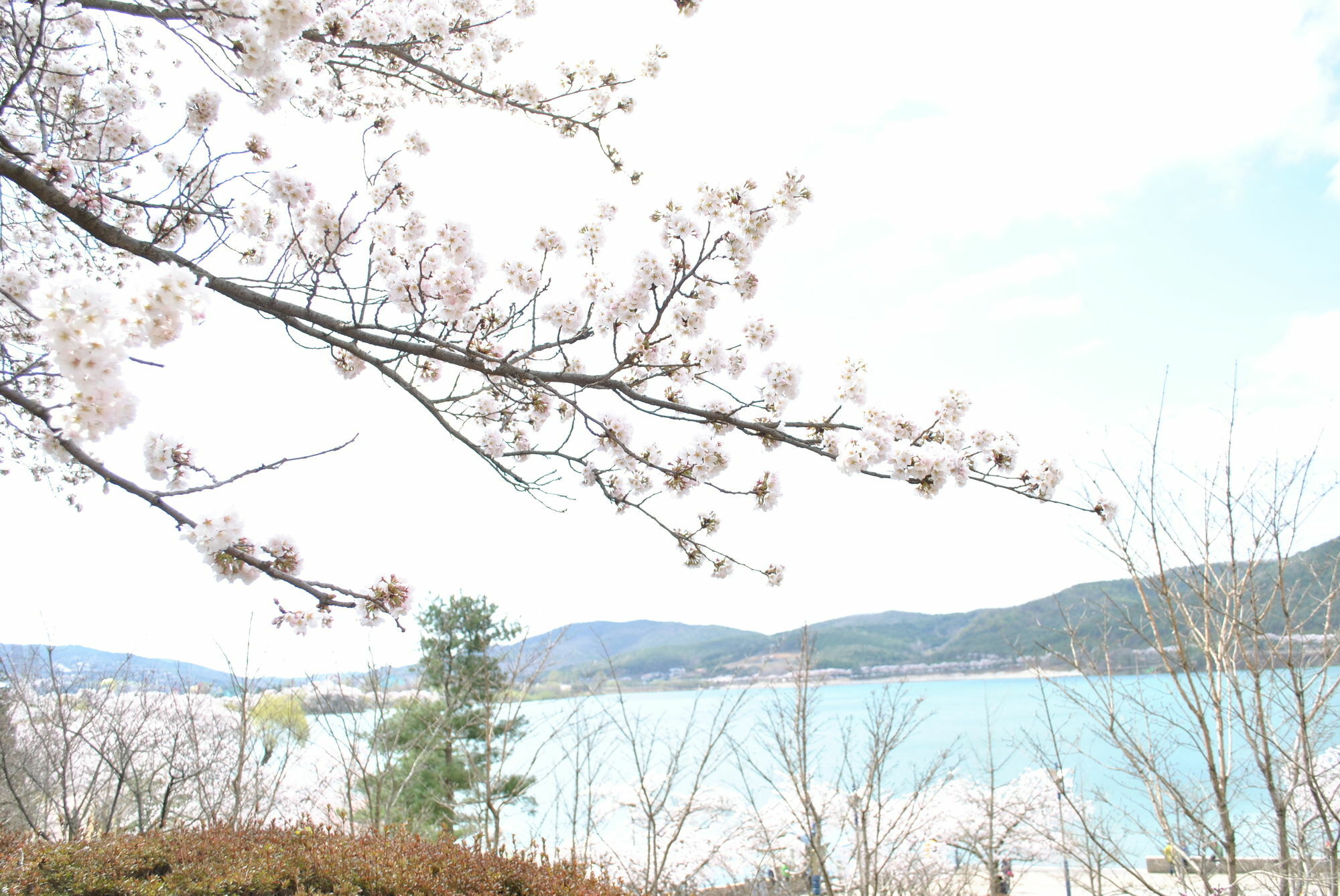 Corea Condo Gyeongju Bagian luar foto