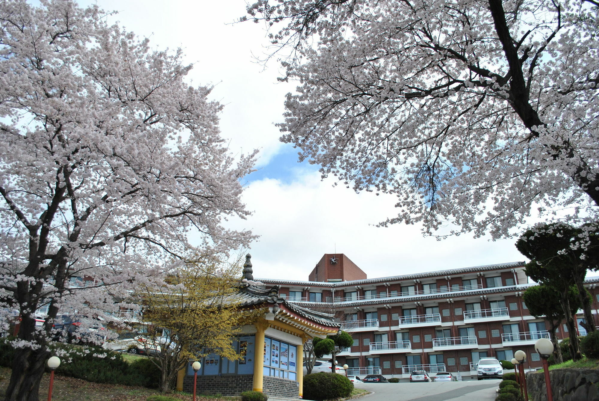 Corea Condo Gyeongju Bagian luar foto