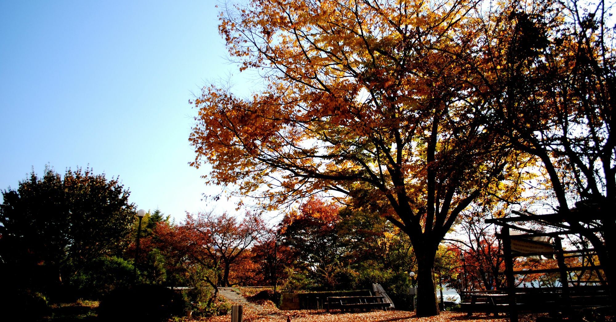 Corea Condo Gyeongju Bagian luar foto